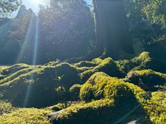-醍醐寺