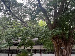 -苏州文庙(姑苏区)