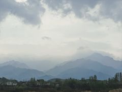 -马楼鱼庄(蓝田)