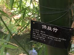 -南通洲际绿博园