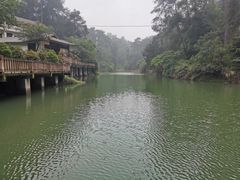 -南山植物园
