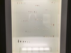 -青岛贝壳博物馆