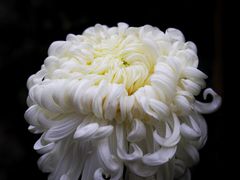 -共青国家森林公园-售票处