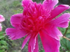 -长春公园(普阳街道)