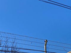 -糕材生(龙湖北京大兴天街店)