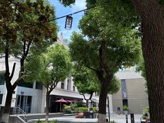 -Seesaw Coffee(上生新所店)