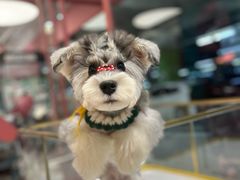-FAELING PETS美天灵宠物(合生汇店)
