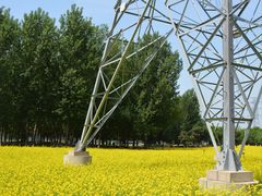 -长白岛森林公园