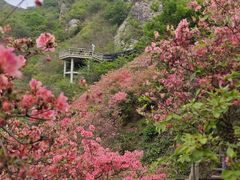 -木兰云雾山
