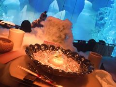 -地球美食剧场