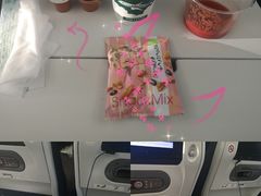 -全日本空输株式会社(上海办事处)