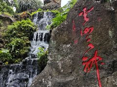 -海口火山口国家地质公园