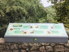 -中国大熊猫保护研究中心雅安碧峰峡基地