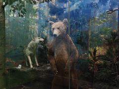 -国家自然博物馆