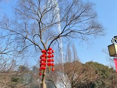 -无锡梅园公园