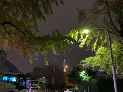 -四川大学(望江校区)
