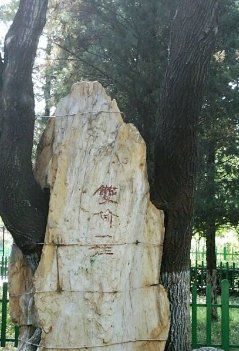 -双榆树公园