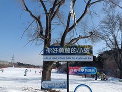 -棋盘山冰雪大世界