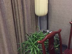 -大唐盲人按摩中心(怀宁路新粮仓店)