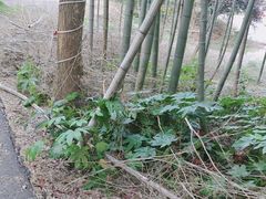 -石燕湖生态旅游景区