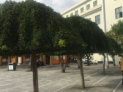 -西宁市东关清真大寺