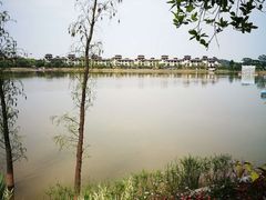 景点-美的鹭湖森林度假区