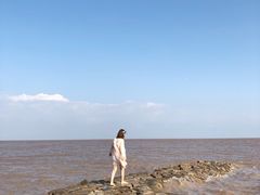 -南汇嘴观海公园