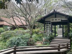 -中国茶叶博物馆(双峰馆区)