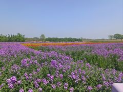 -江苏三台山国家森林公园