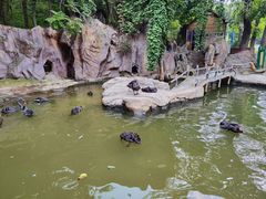 -燕塞湖鸟语林景区