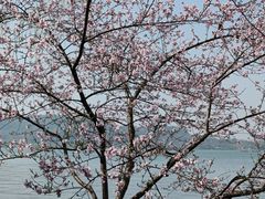 -西湖天地