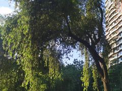 -人民公园(罗湖区)