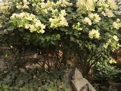 -南通洲际绿博园