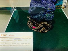 -中国第四纪冰川遗迹陈列馆