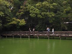 -井之头恩赐公园