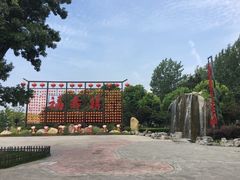 -合肥滨湖国家森林公园