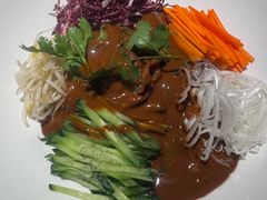 -大鸭梨烤鸭店(花园村店)