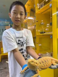 -神奇动物撸宠馆·羊驼·小浣熊·异宠(豫园店)