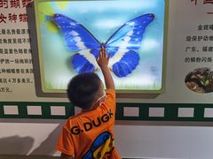 -上海昆虫博物馆