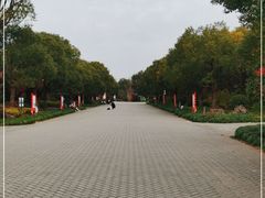 -上海海湾国家森林公园