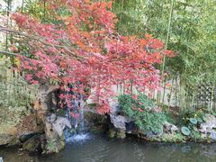-上海醉白池公园