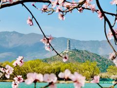-颐和园