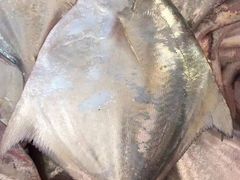 -富临港·蒸汽海鲜·手抓海鲜·炒菜(栈桥店)