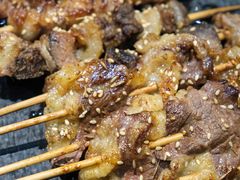 -齐函杨佳清真烤肉(鑫海店)