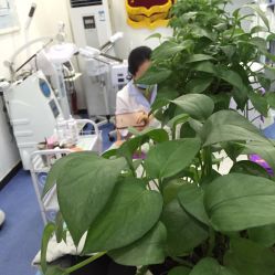 -蕾特恩专业祛痘国际连锁