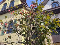 -歌斐颂巧克力小镇