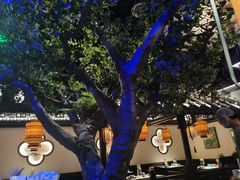 -绿茶餐厅(燕郊永旺店)