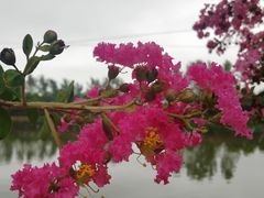 -武汉紫薇都市田园