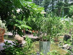 -墨居上隐·院子里火锅(峨眉店)