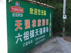 -天强农家菜馆